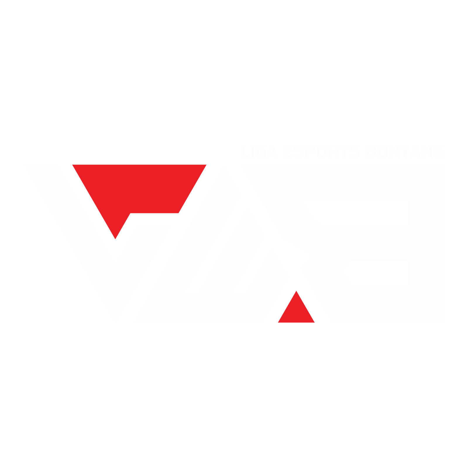 Identitas PB Esports